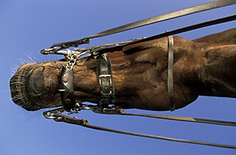 An example picture for you to enjoy