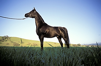 An example picture for you to enjoy