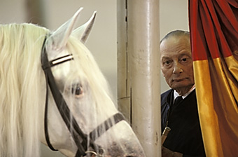 An example picture for you to enjoy