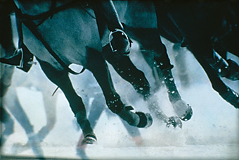 An example picture for you to enjoy