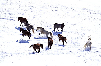 An example picture for you to enjoy