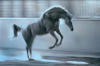 An example picture for you to enjoy