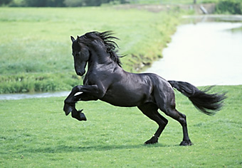 An example picture for you to enjoy