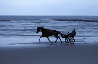 An example picture for you to enjoy