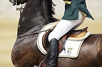 An example picture for you to enjoy