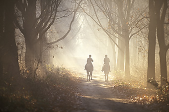 An example picture for you to enjoy