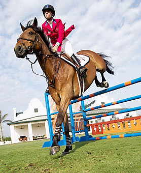 An example picture for you to enjoy