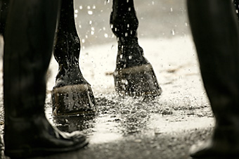 An example picture for you to enjoy