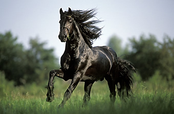 An example picture for you to enjoy