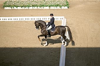 An example picture for you to enjoy