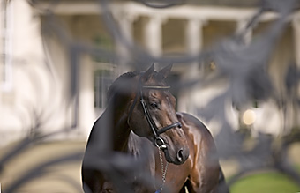 An example picture for you to enjoy