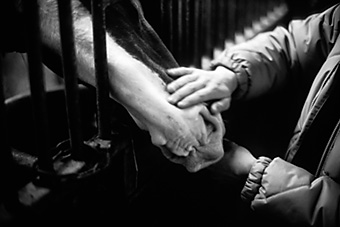 An example picture for you to enjoy