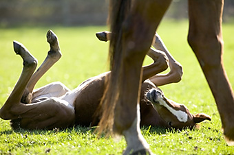 An example picture for you to enjoy