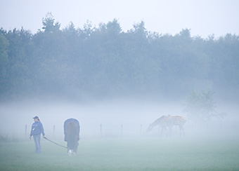 An example picture for you to enjoy