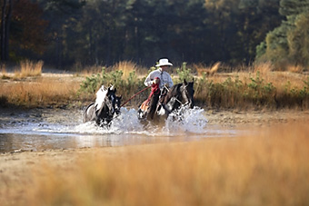 An example picture for you to enjoy