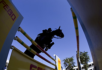 An example picture for you to enjoy