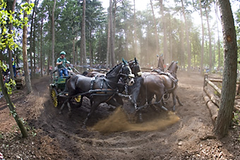 An example picture for you to enjoy