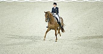 An example picture for you to enjoy