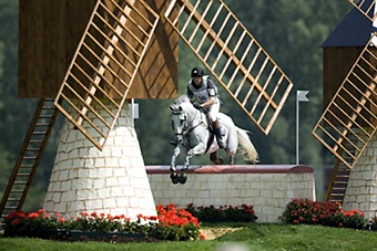 An example picture for you to enjoy