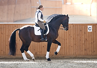 An example picture for you to enjoy