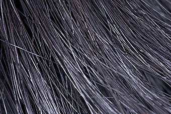 An example picture for you to enjoy