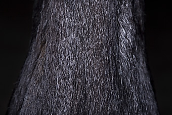 An example picture for you to enjoy