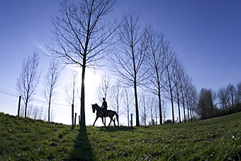 An example picture for you to enjoy