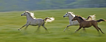 An example picture for you to enjoy