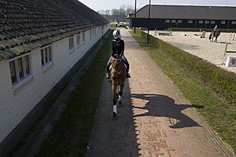 An example picture for you to enjoy