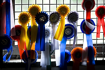 An example picture for you to enjoy