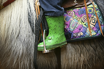 An example picture for you to enjoy