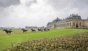 An example picture for you to enjoy