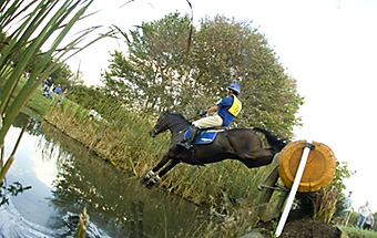 An example picture for you to enjoy