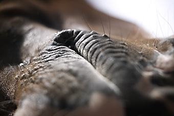 An example picture for you to enjoy