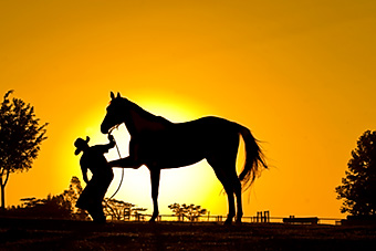 An example picture for you to enjoy