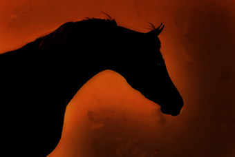 An example picture for you to enjoy