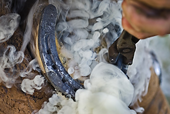 An example picture for you to enjoy