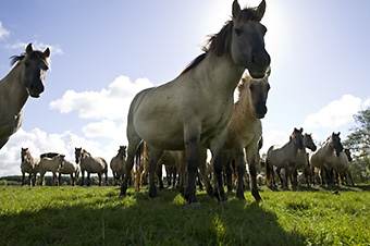 An example picture for you to enjoy