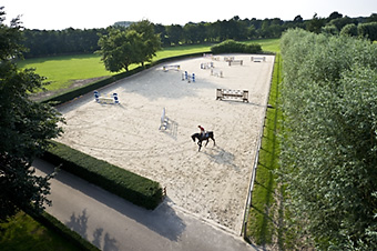 An example picture for you to enjoy