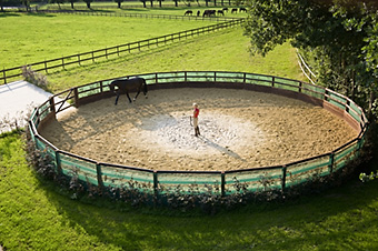 An example picture for you to enjoy