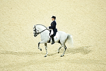 An example picture for you to enjoy