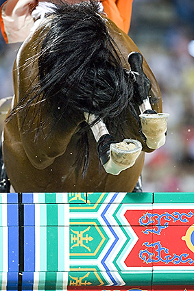 An example picture for you to enjoy