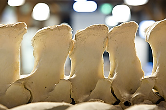 An example picture for you to enjoy