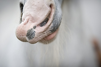 An example picture for you to enjoy
