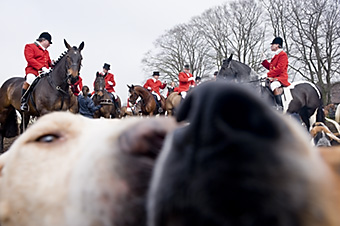 An example picture for you to enjoy