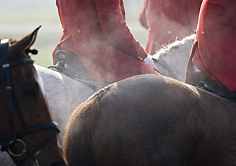 An example picture for you to enjoy