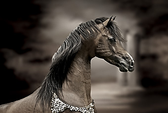 An example picture for you to enjoy