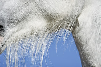 An example picture for you to enjoy