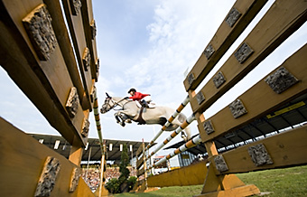 An example picture for you to enjoy