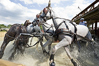 An example picture for you to enjoy